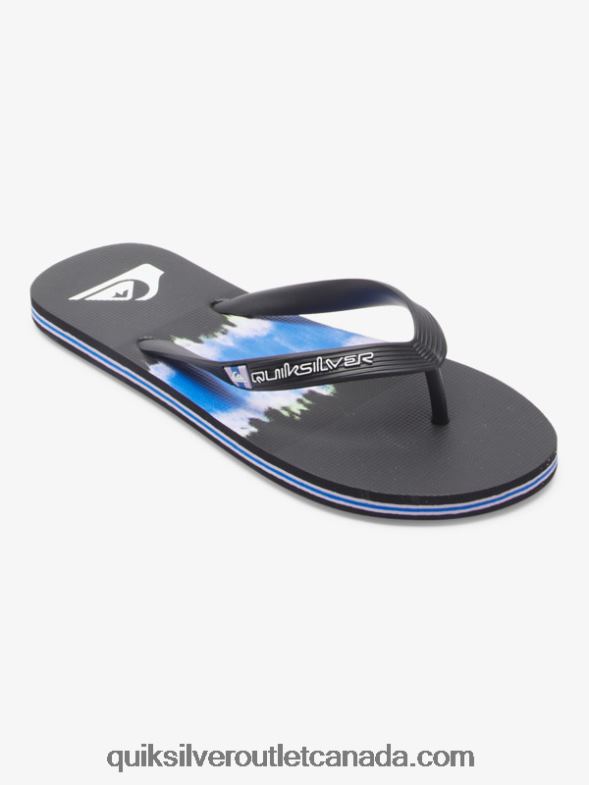 CA Quiksilver Men Molokai Art Flip-Flops black TX4R2521