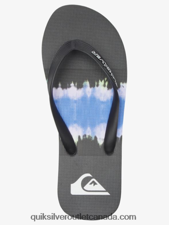 CA Quiksilver Men Molokai Art Flip-Flops black TX4R2521