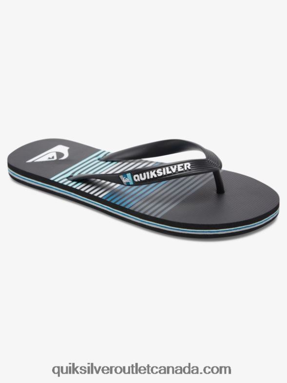 CA Quiksilver Men Molokai Art Flip-Flops black TX4R2526