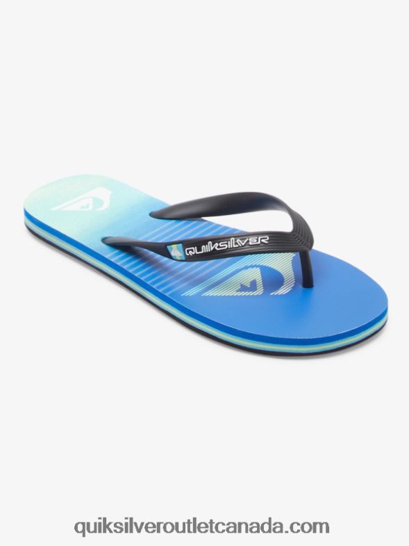 CA Quiksilver Men Molokai Art Flip-Flops black/green/blue TX4R2518