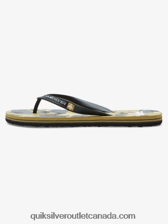 CA Quiksilver Men Molokai Art Flip-Flops black/grey/brown TX4R2522