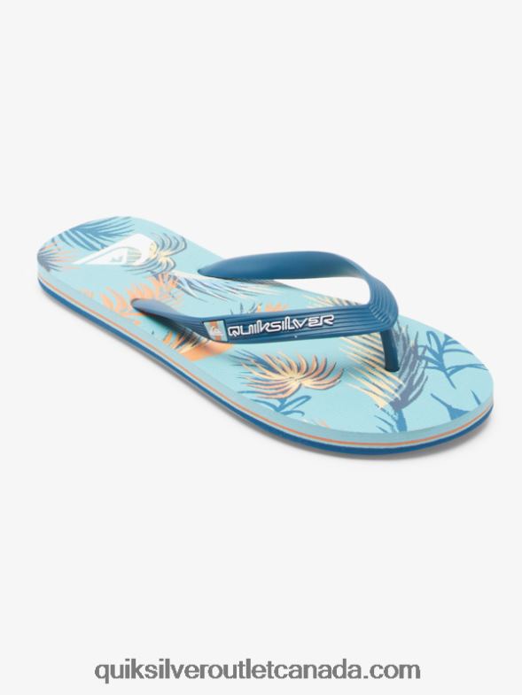 CA Quiksilver Men Molokai Art Flip-Flops blue/black/yellow TX4R2519