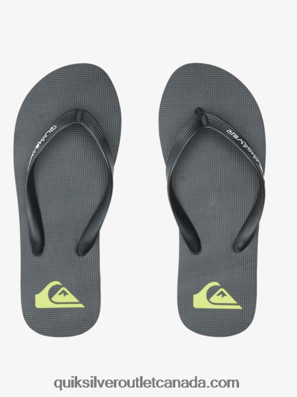 CA Quiksilver Men Molokai Core Flip-Flops black TX4R2595