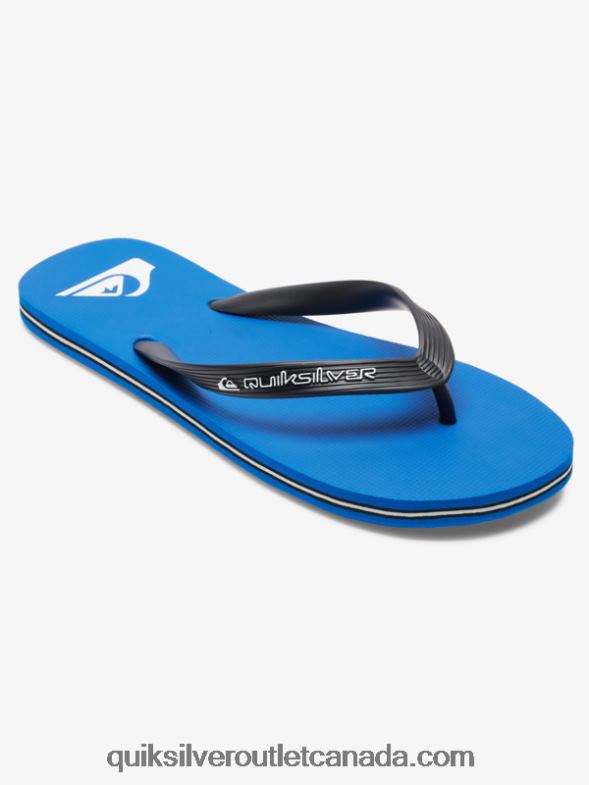 CA Quiksilver Men Molokai Core Flip-Flops blue 1 TX4R2593