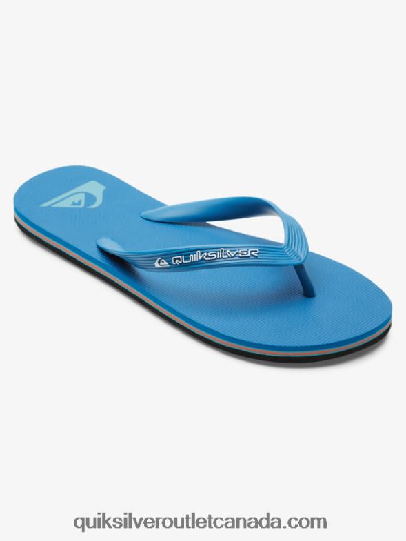 CA Quiksilver Men Molokai Core Flip-Flops blue 2 TX4R2596