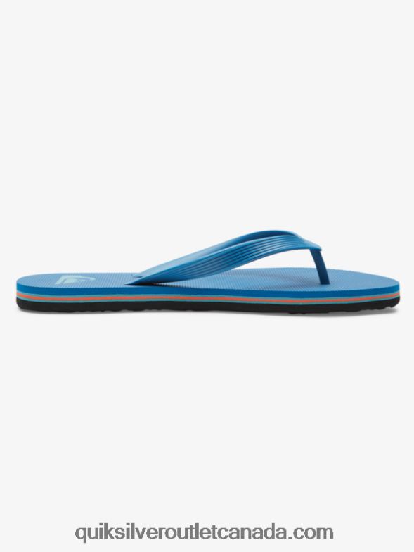 CA Quiksilver Men Molokai Core Flip-Flops blue 2 TX4R2596