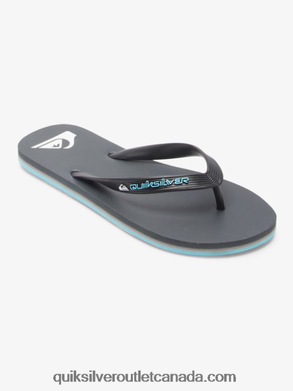CA Quiksilver Men Molokai Core Flip-Flops grey 4 TX4R2594