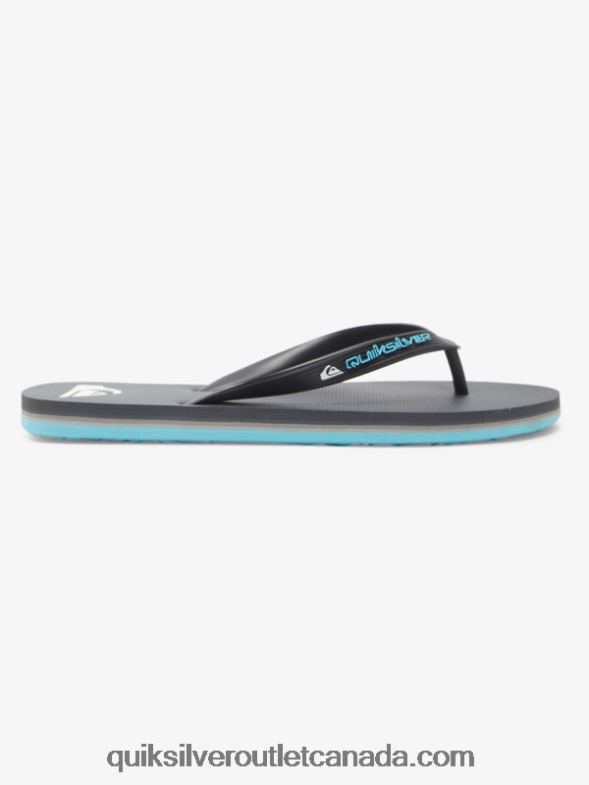 CA Quiksilver Men Molokai Core Flip-Flops grey 4 TX4R2594
