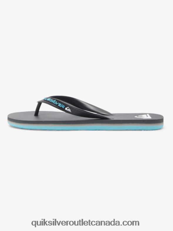 CA Quiksilver Men Molokai Core Flip-Flops grey 4 TX4R2594