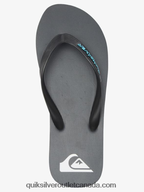 CA Quiksilver Men Molokai Core Flip-Flops grey 4 TX4R2594