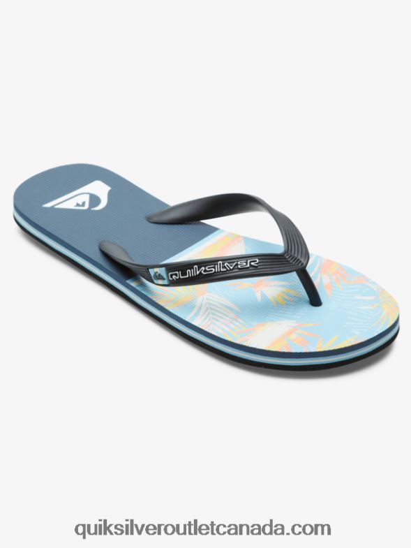 CA Quiksilver Men Molokai Division Flip Flops blue 1 TX4R21638