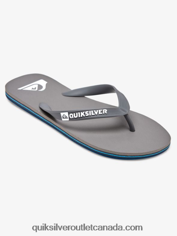 CA Quiksilver Men Molokai Flip-Flops grey 3 TX4R21592