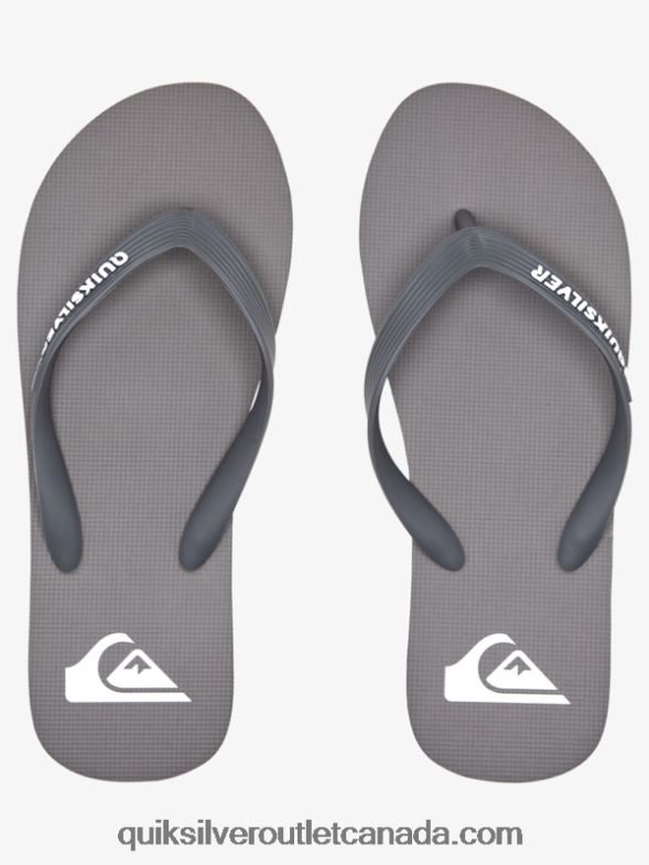 CA Quiksilver Men Molokai Flip-Flops grey 3 TX4R21592
