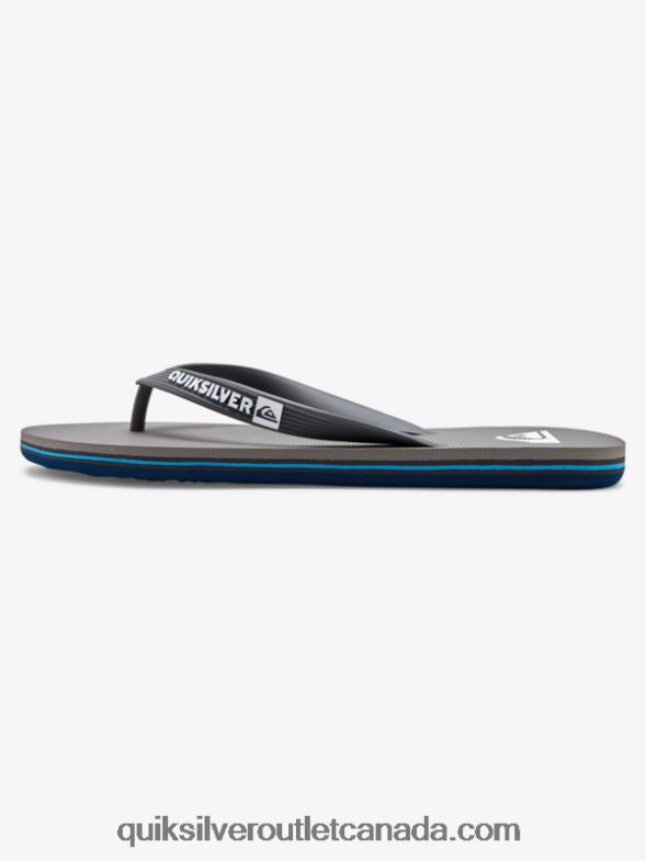 CA Quiksilver Men Molokai Flip-Flops grey 3 TX4R21592