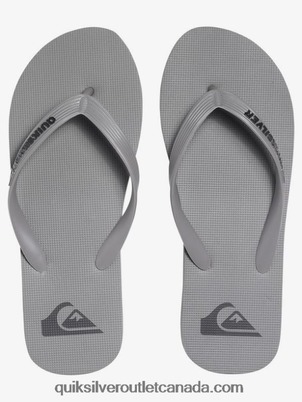 CA Quiksilver Men Molokai Flip-Flops grey TX4R21590
