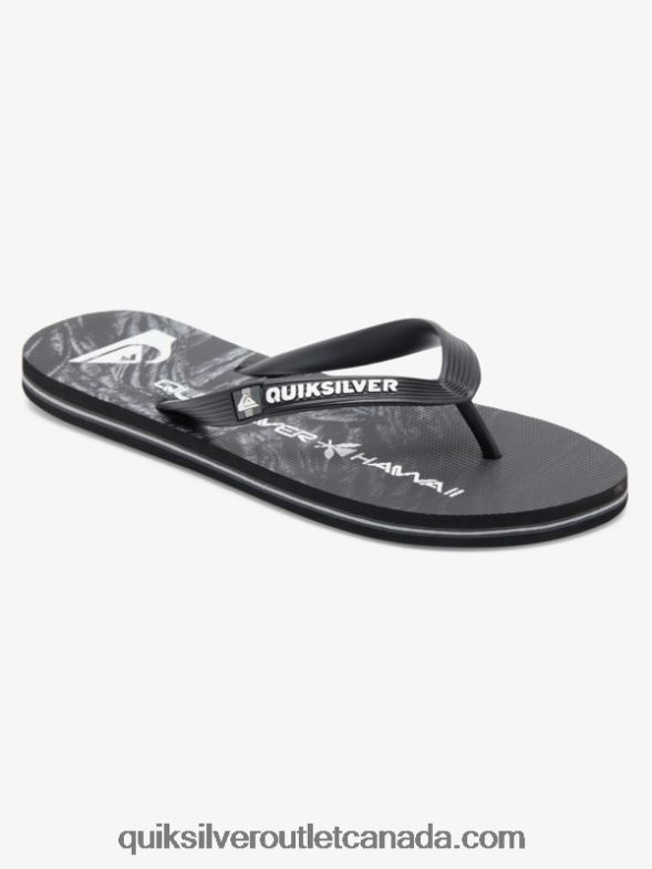 CA Quiksilver Men Molokai Homegrown Flip-Flops black TX4R21860