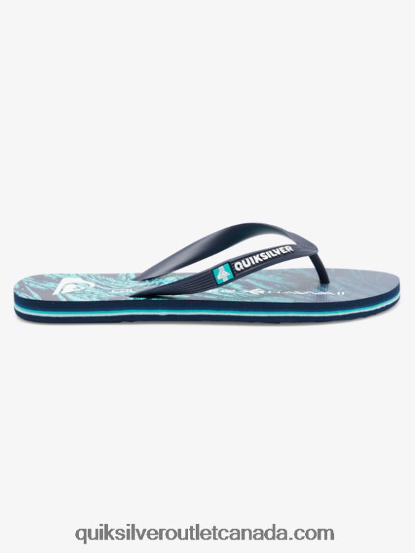 CA Quiksilver Men Molokai Homegrown Flip-Flops green 1 TX4R21861