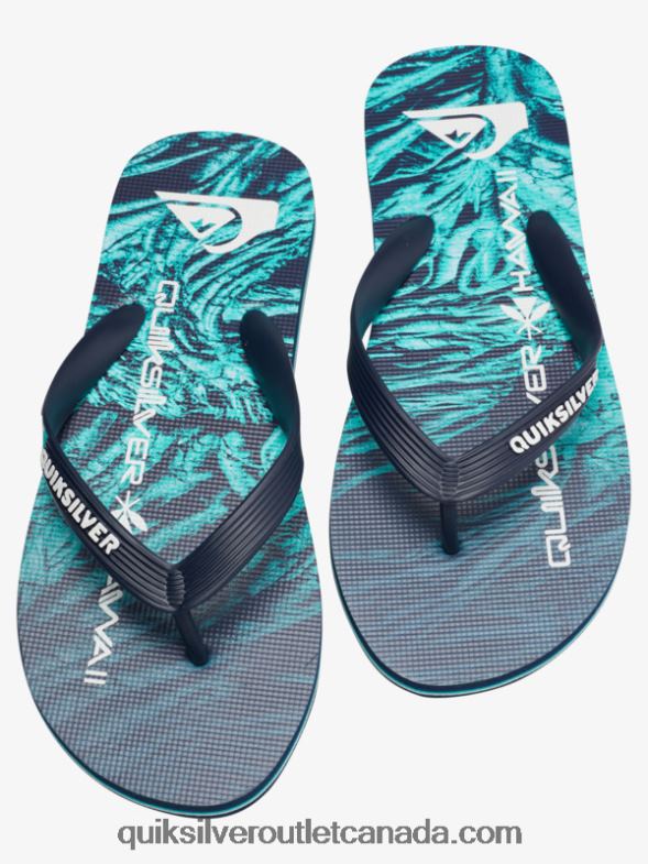 CA Quiksilver Men Molokai Homegrown Flip-Flops green 1 TX4R21861