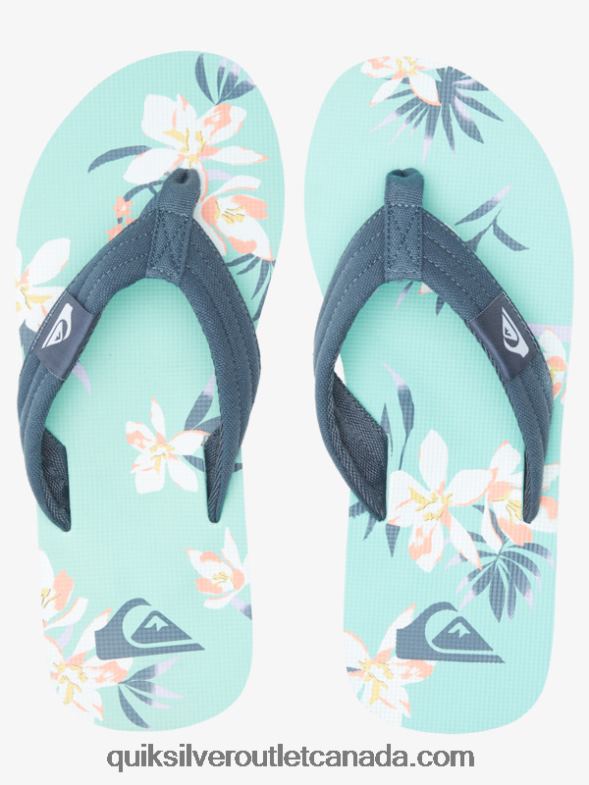 CA Quiksilver Men Molokai Layback Sandals blue/green TX4R2505