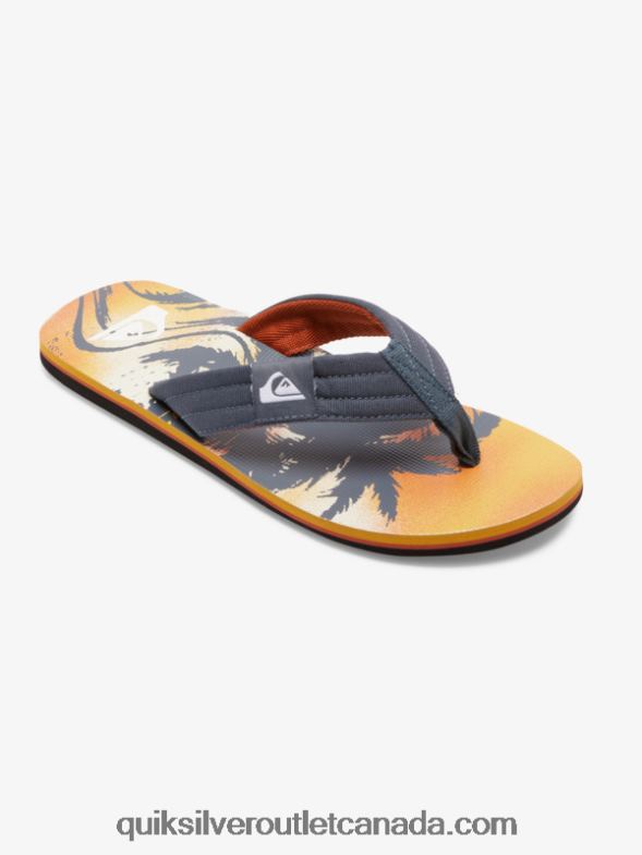 CA Quiksilver Men Molokai Layback Sandals grey 1 TX4R2493