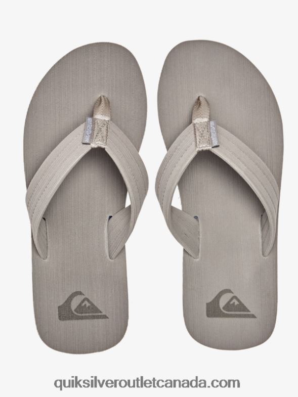 CA Quiksilver Men Molokai Layback Sandals grey/white TX4R21250