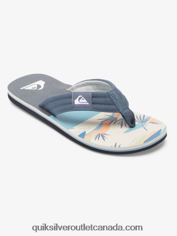 CA Quiksilver Men Molokai Layback Sandals grey/white TX4R2494