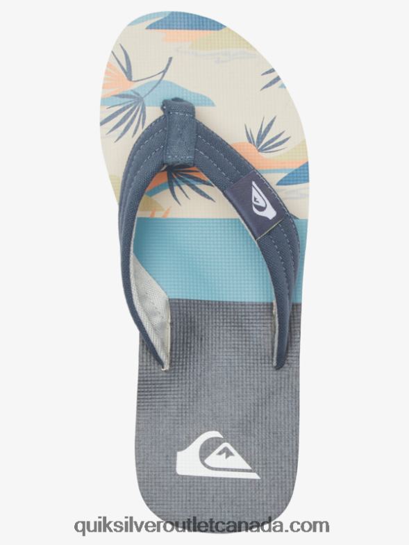 CA Quiksilver Men Molokai Layback Sandals grey/white TX4R2494