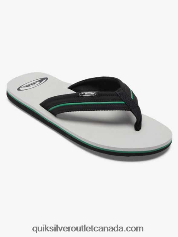 CA Quiksilver Men Molokai Layback Saturn Sandals grey 1 TX4R21294