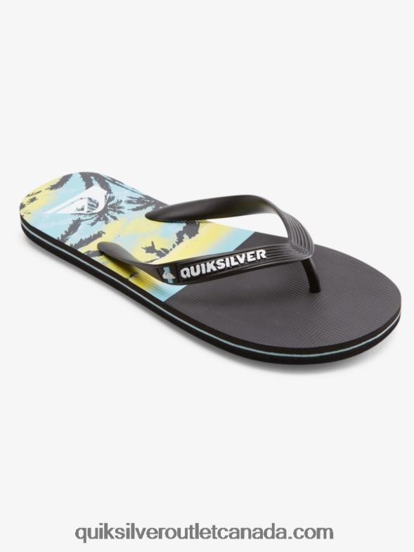 CA Quiksilver Men Molokai Panel Flip-Flops black TX4R2574