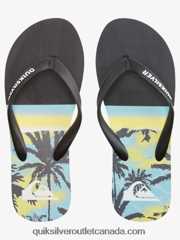 CA Quiksilver Men Molokai Panel Flip-Flops black TX4R2574