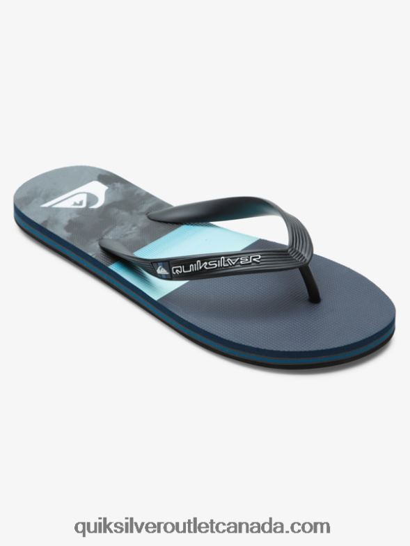 CA Quiksilver Men Molokai Panel Flip-Flops blue/grey TX4R2573