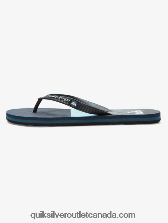 CA Quiksilver Men Molokai Panel Flip-Flops blue/grey TX4R2573
