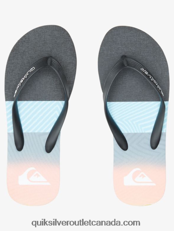 CA Quiksilver Men Molokai Panel Flip-Flops blue/orange TX4R2571