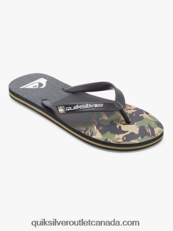 CA Quiksilver Men Molokai Panel Flip-Flops green 1 TX4R2570