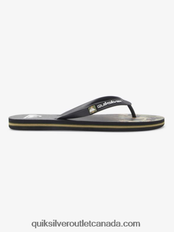 CA Quiksilver Men Molokai Panel Flip-Flops green 1 TX4R2570