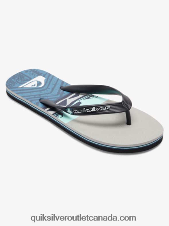 CA Quiksilver Men Molokai Panel Flip-Flops grey/black/blue TX4R2572