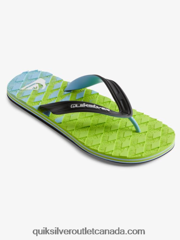 CA Quiksilver Men Oahuey Sandals green 1 TX4R2748