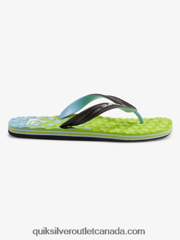 CA Quiksilver Men Oahuey Sandals green 1 TX4R2748