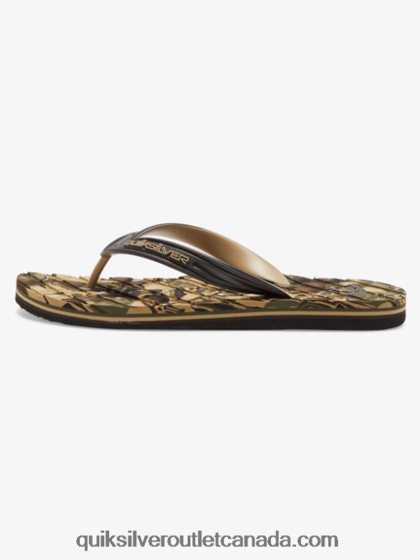 CA Quiksilver Men Oahuey Sandals green 2 TX4R2746